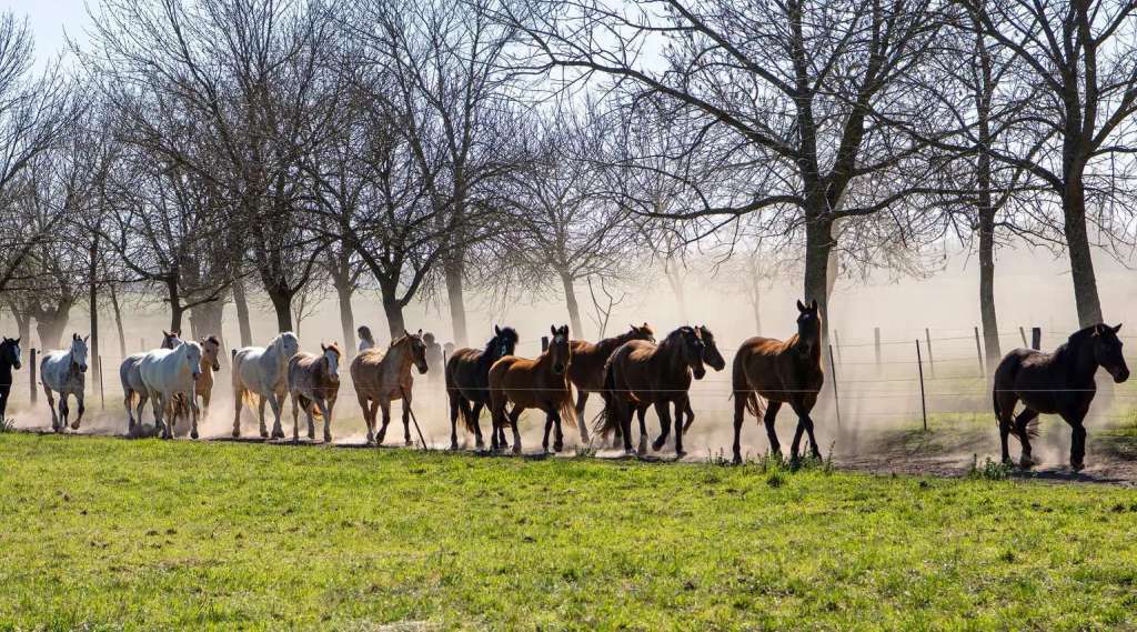 Patagonien Patagonien